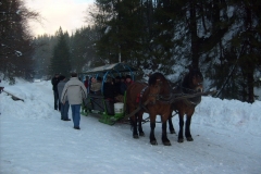 Zimowy zaprzęg konny